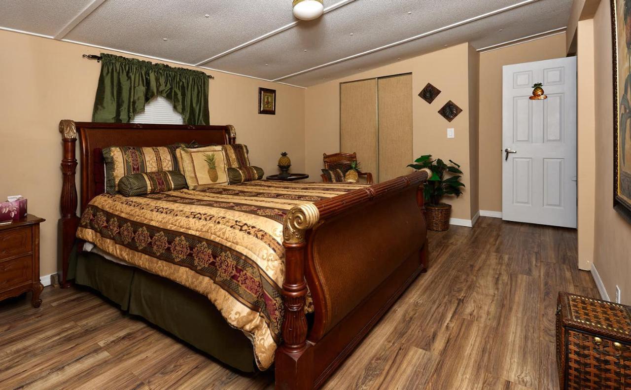 Room In Bb - Pleasant Days Bb Tropical Master Suite Хомосасса Экстерьер фото